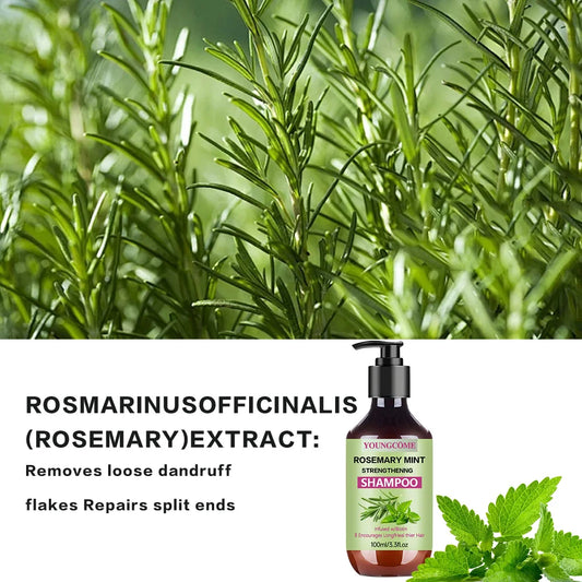YOUNGCOME Rosemary Mint Shampoo Cleanses, moisturizes leaves hair/scalp feeling hydrated, refreshed with a cool tingle