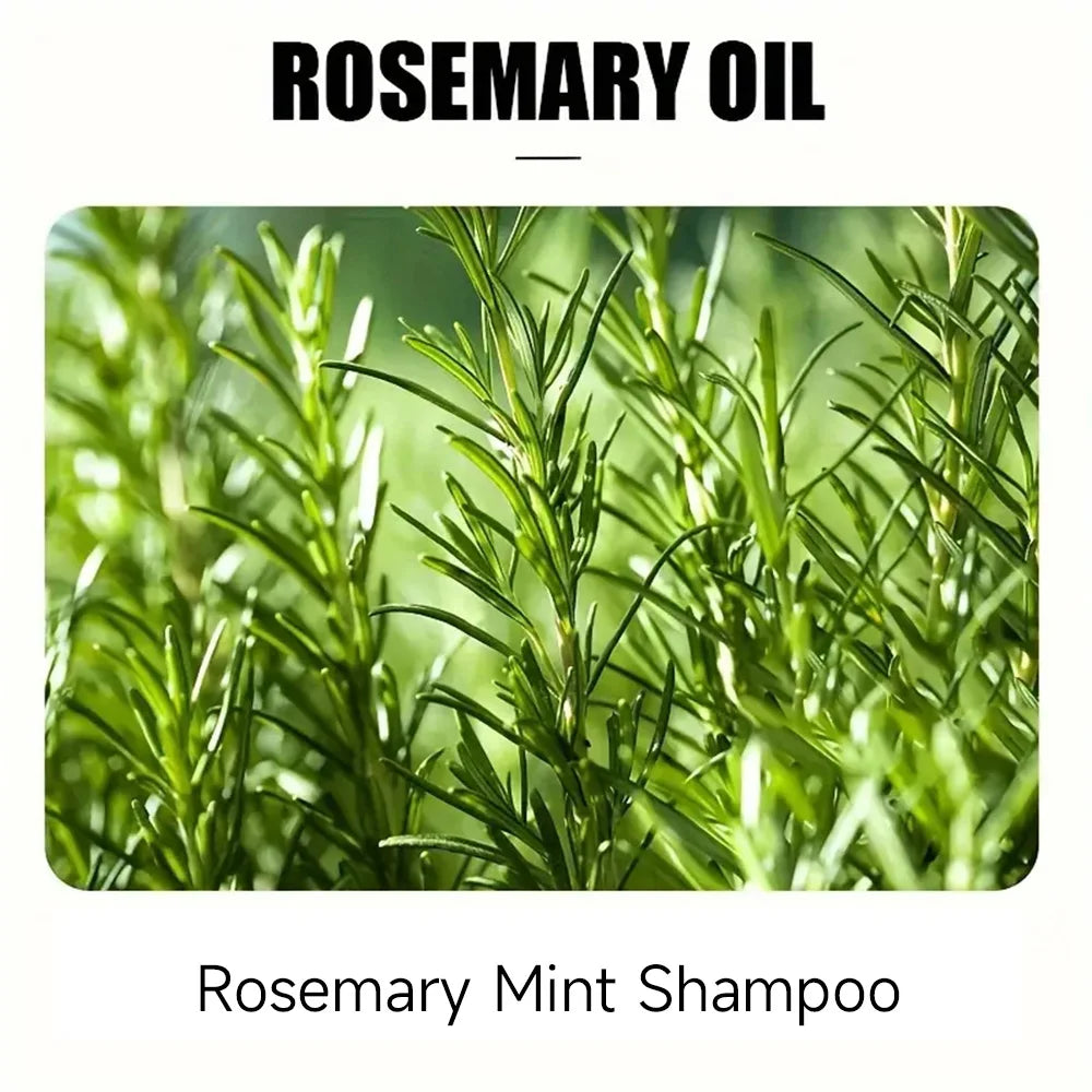 Rosemary Mint Essential Oil for Hair Growth - Natural Hair Film Treatment to Strengthen & Thicken Hair 2025 New Formula 1/2set
